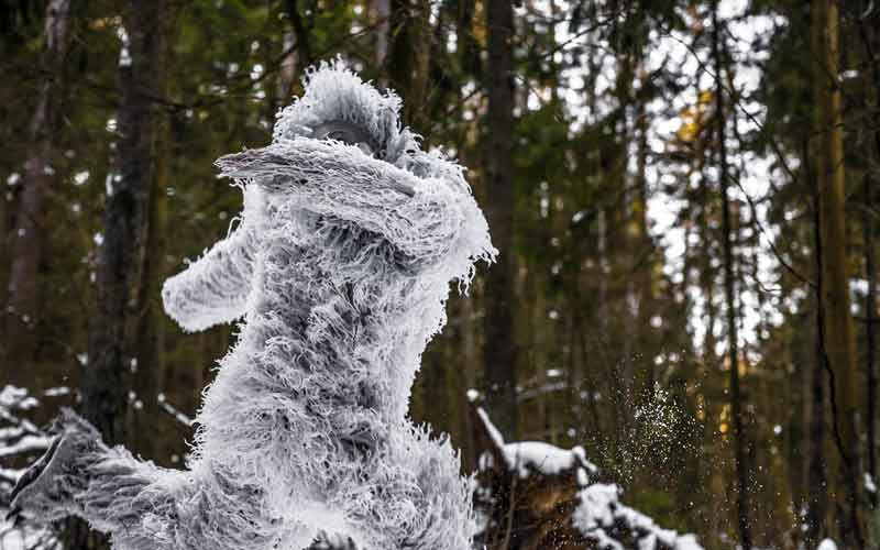 iron-curtain-adventure-yeti-fairy-tale-character-in-winter-forest